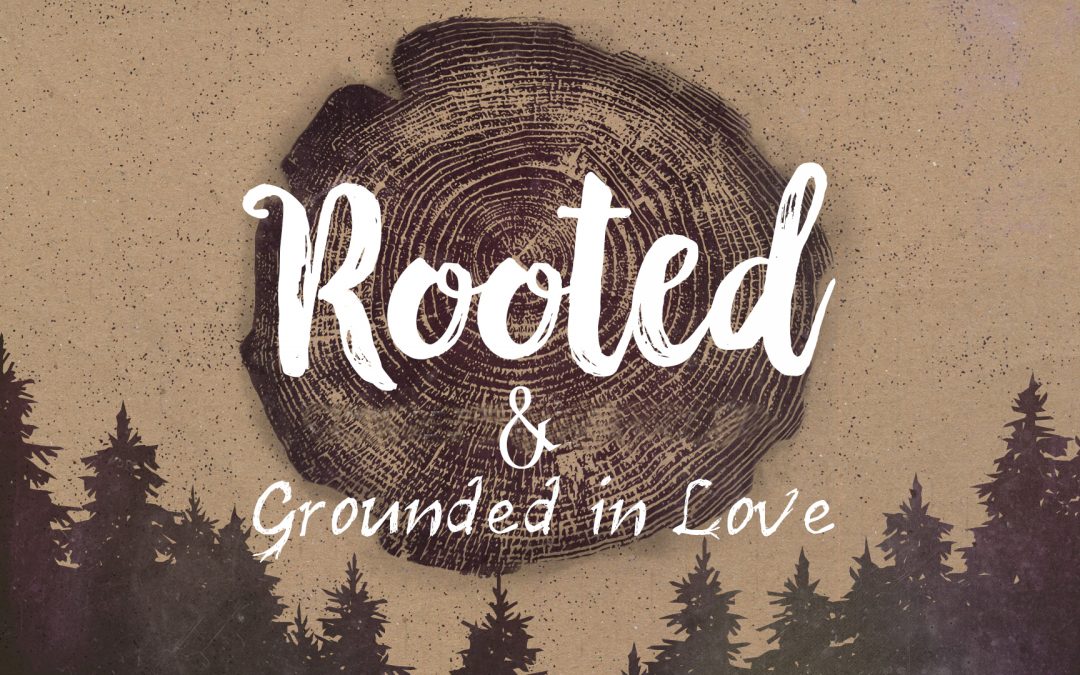 Sermon: Moved by the Mystery of Love