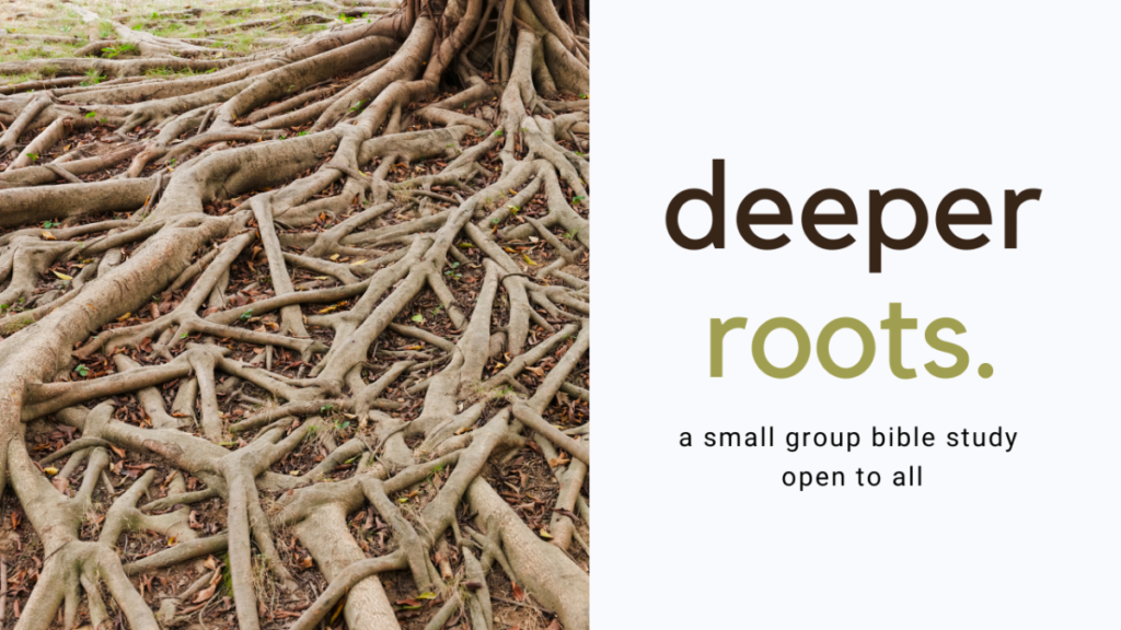 deeper roots. a small group bible study open to all.